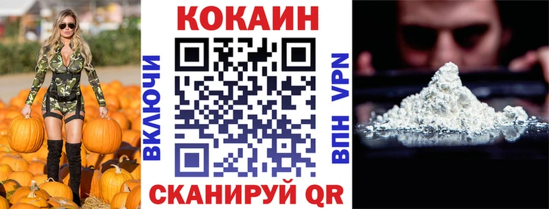 MEGA как войти  купить наркотики сайты  Яхрома  КОКАИН Fish Scale 