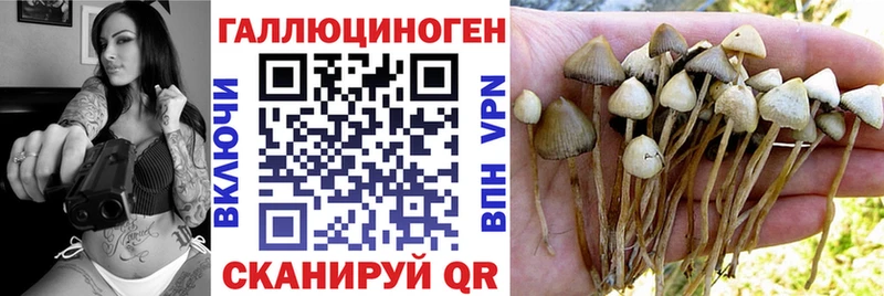 где найти Яхрома OMG ССЫЛКА Псилоцибиновые грибы прущие грибы