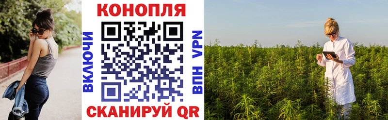 Бошки Шишки сатива  как найти закладки  Яхрома 